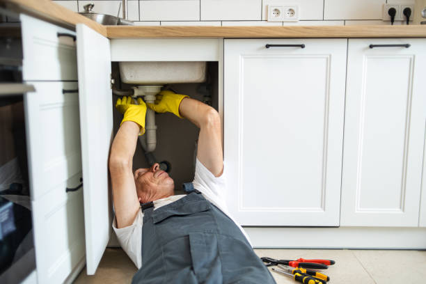 Best Plumbing Inspection Services  in Turtle Creek, PA